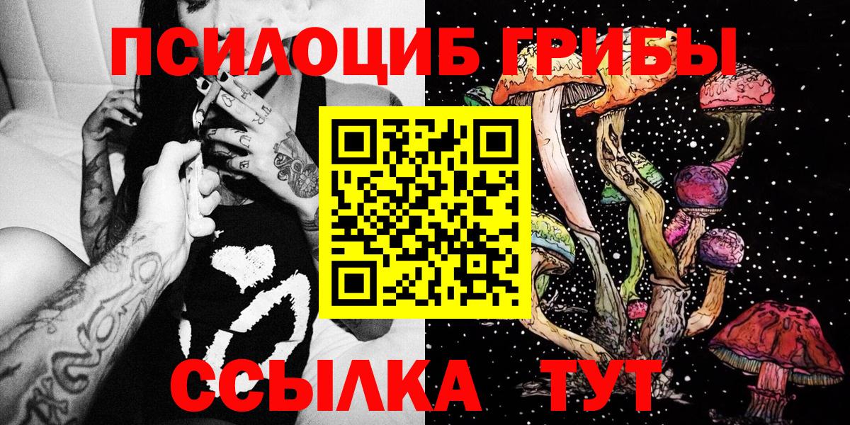 Галлюциногенные грибы ЛСД  Вход с VPN  Елабуга  Галлюциногенные грибы Psilocybe 